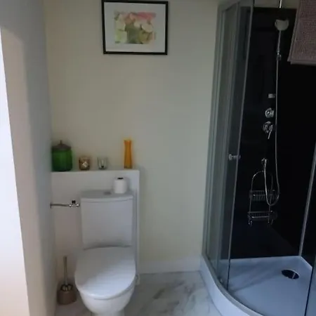 Gite Du Manoir Subles Exterior foto